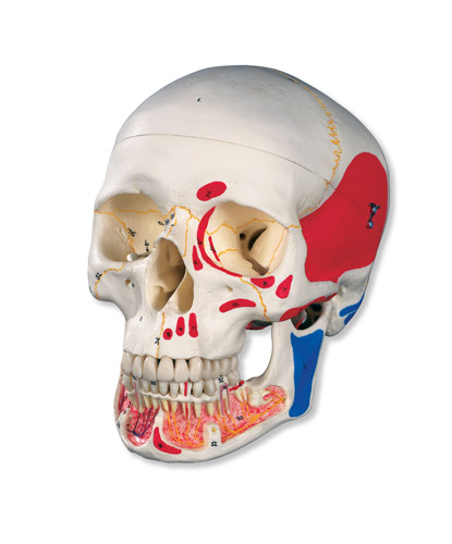 (jng)Bģ͎_Mɫ 3