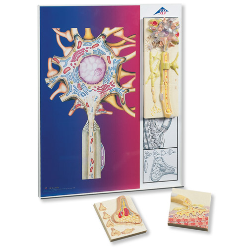 (jng)WϵУ5KŻģڽ@ʾ